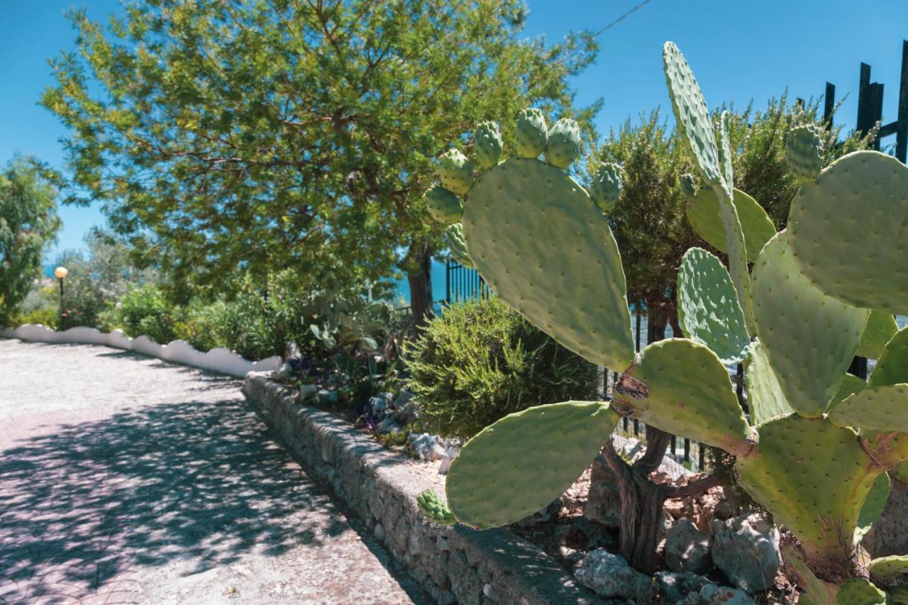 B&B La Scapola Mattinata Dış mekan fotoğraf