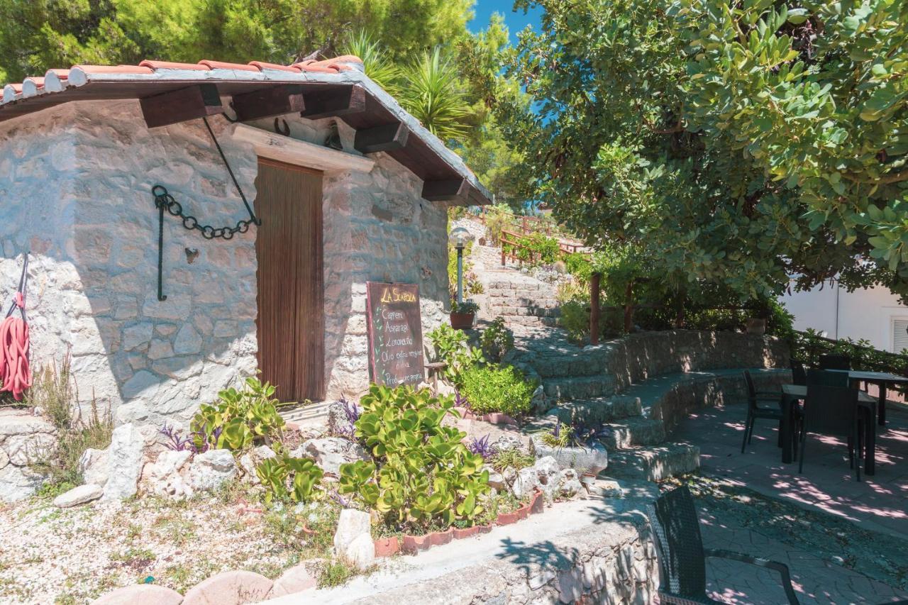B&B La Scapola Mattinata Dış mekan fotoğraf