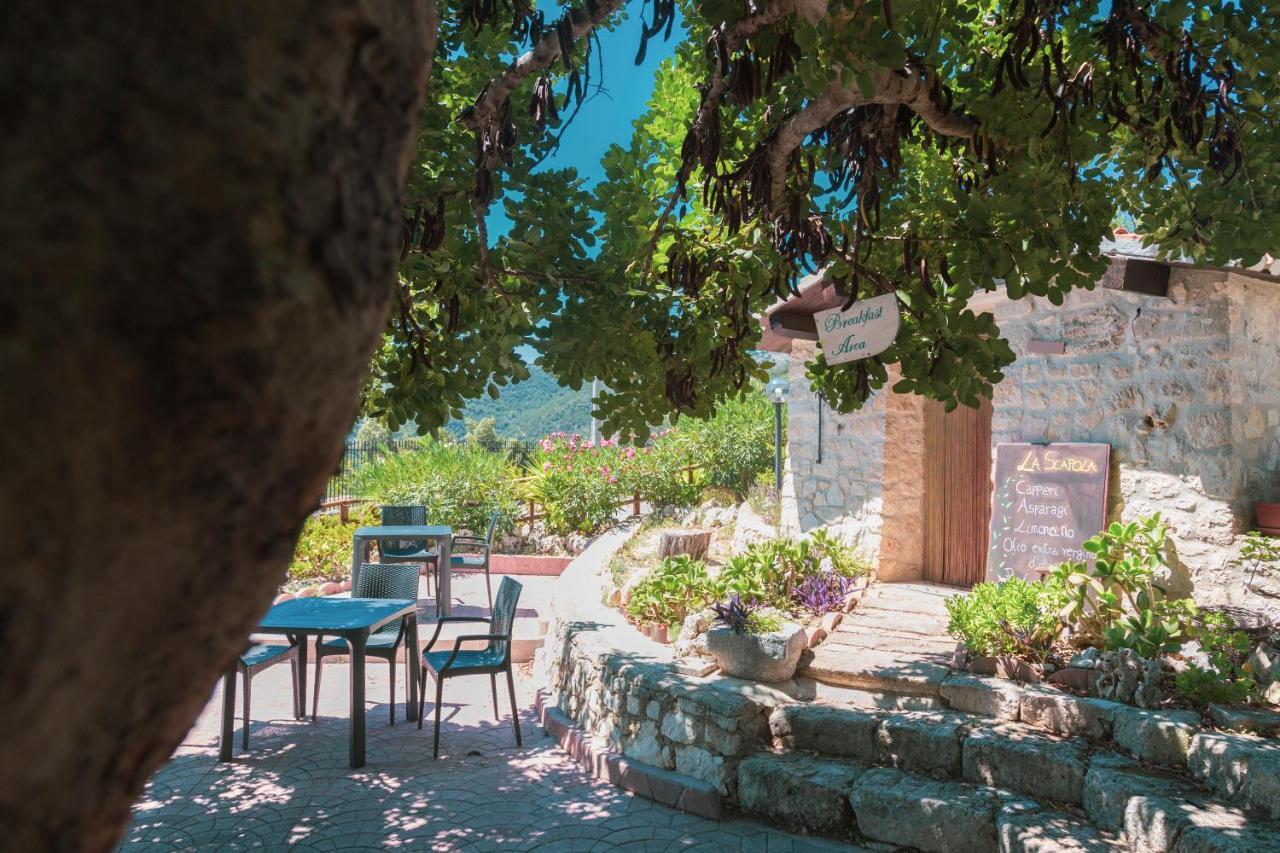 B&B La Scapola Mattinata Dış mekan fotoğraf