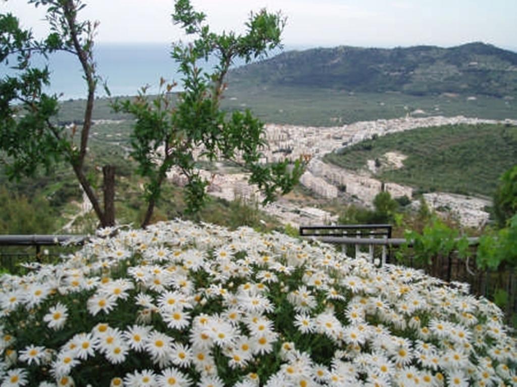 B&B La Scapola Mattinata Dış mekan fotoğraf