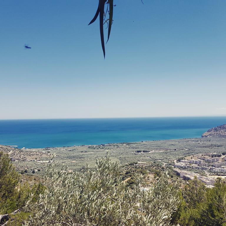 B&B La Scapola Mattinata Dış mekan fotoğraf