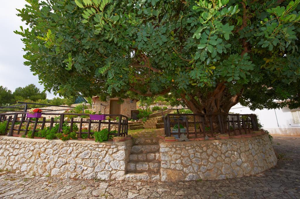 B&B La Scapola Mattinata Dış mekan fotoğraf