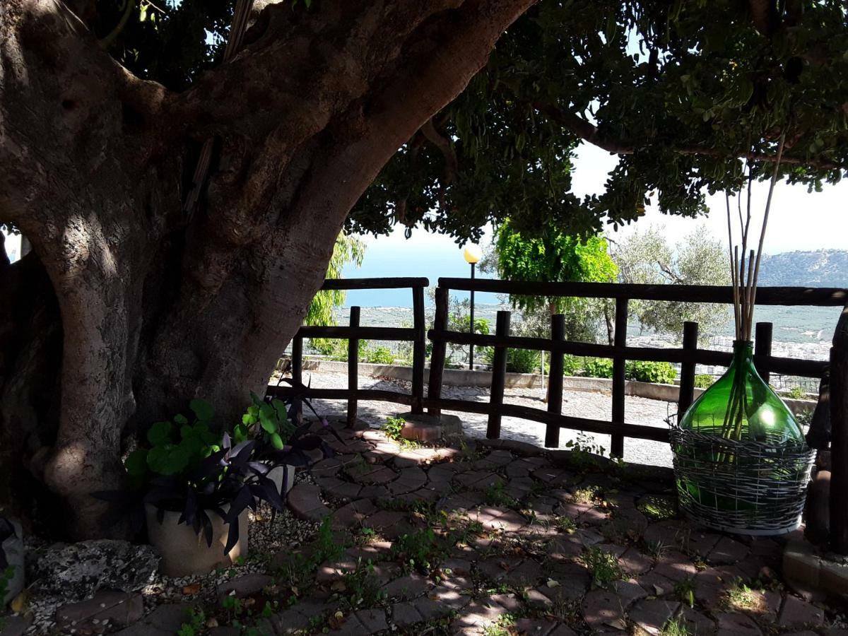 B&B La Scapola Mattinata Dış mekan fotoğraf