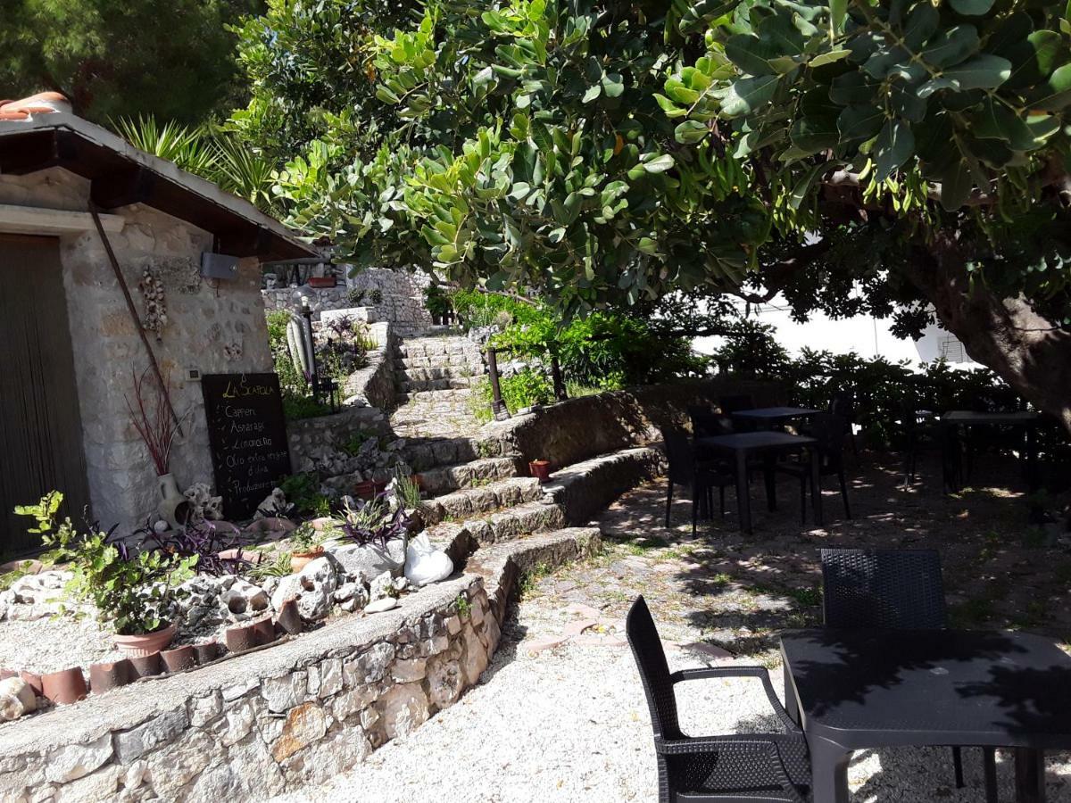B&B La Scapola Mattinata Dış mekan fotoğraf