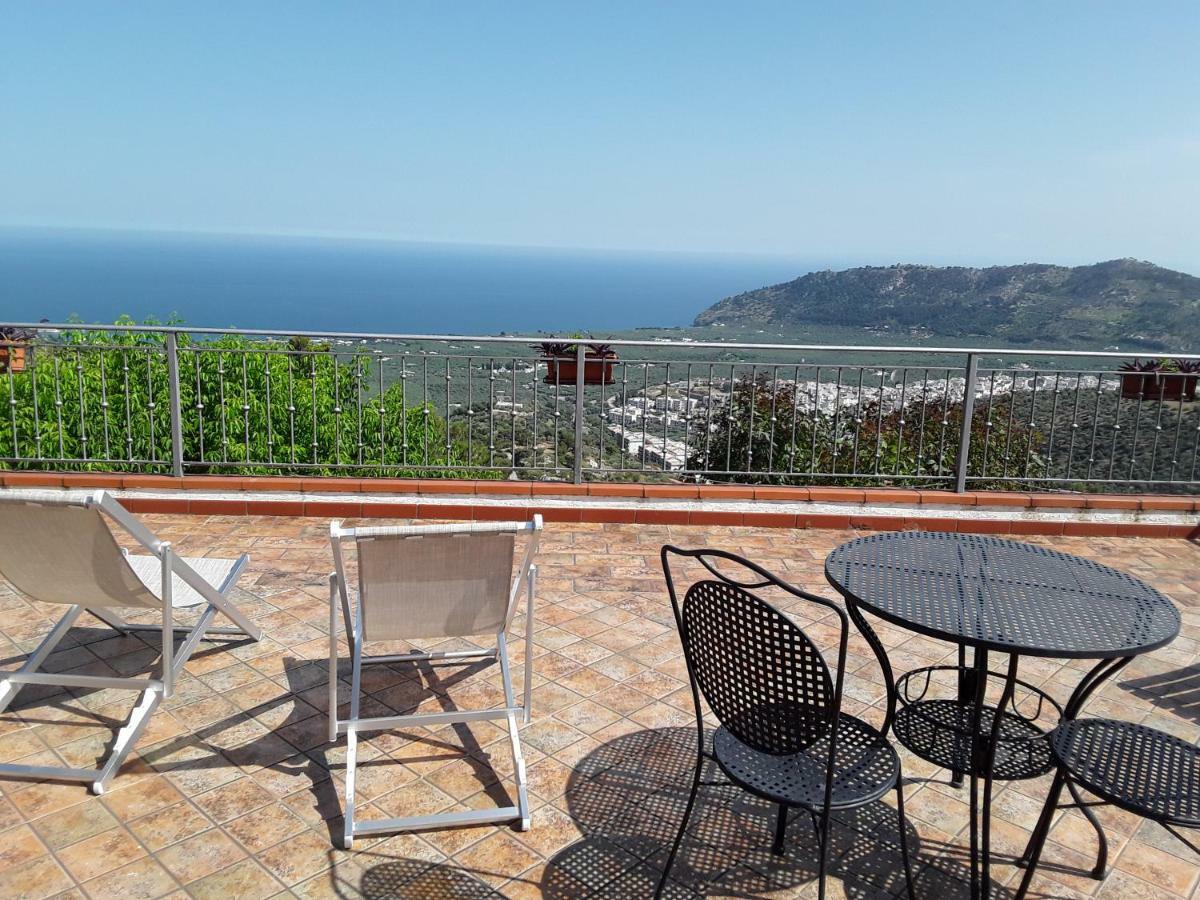 B&B La Scapola Mattinata Dış mekan fotoğraf