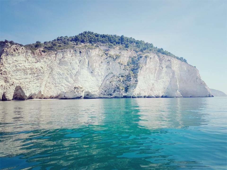 B&B La Scapola Mattinata Dış mekan fotoğraf